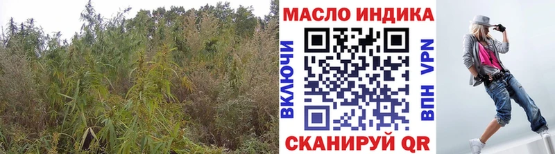 наркошоп  Кизел  ТГК концентрат 