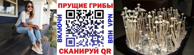 Галлюциногенные грибы прущие грибы  Кизел 